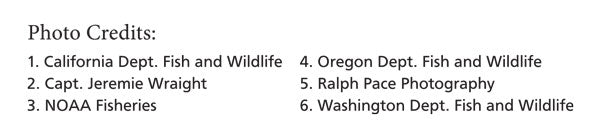 Author photos used in our California Groundfish Identification Guide product are credited here