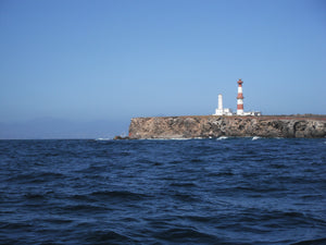 Picture of the shipwreck and light house at the north end of Islas Todos Santos, offshore Ensenada