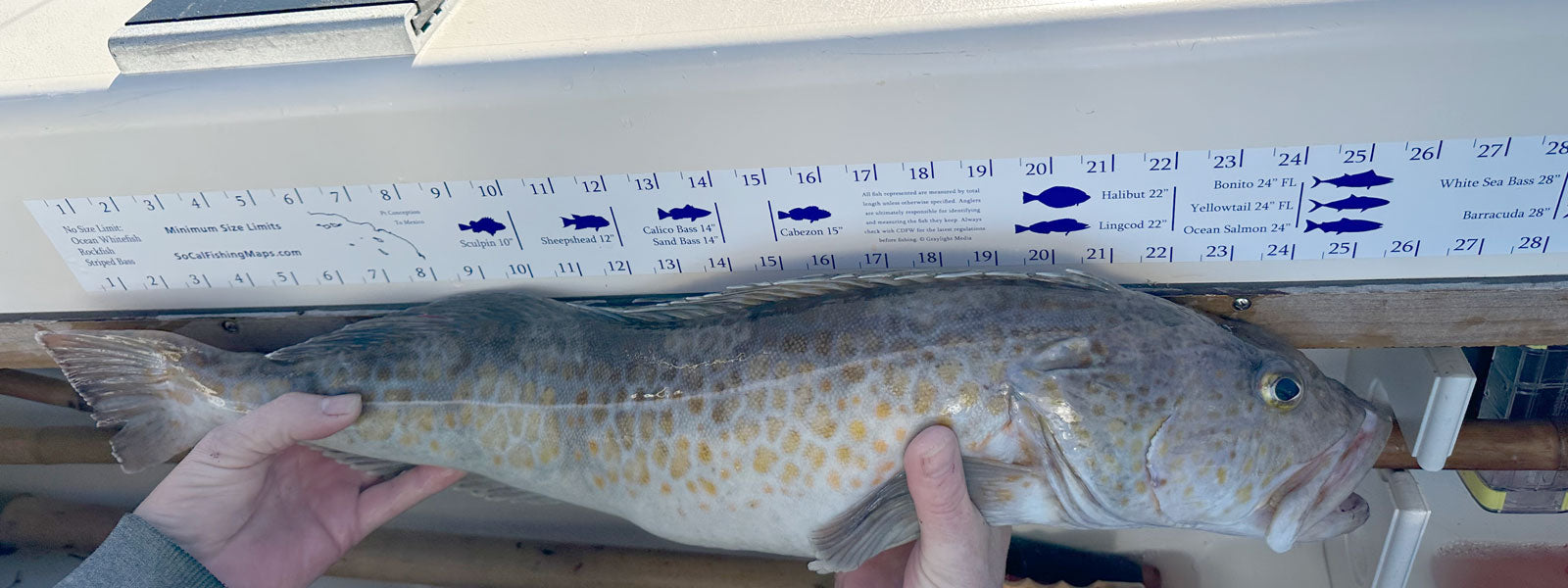 Cal Van Ruler SoCal Fish Ruler – SoCalFishingMaps.com